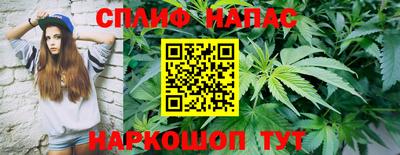 PSILOCYBIN Бузулук