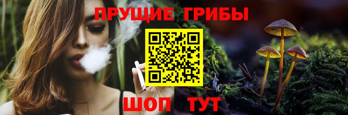 Галлюциногенные грибы MAGIC MUSHROOMS Камышин
